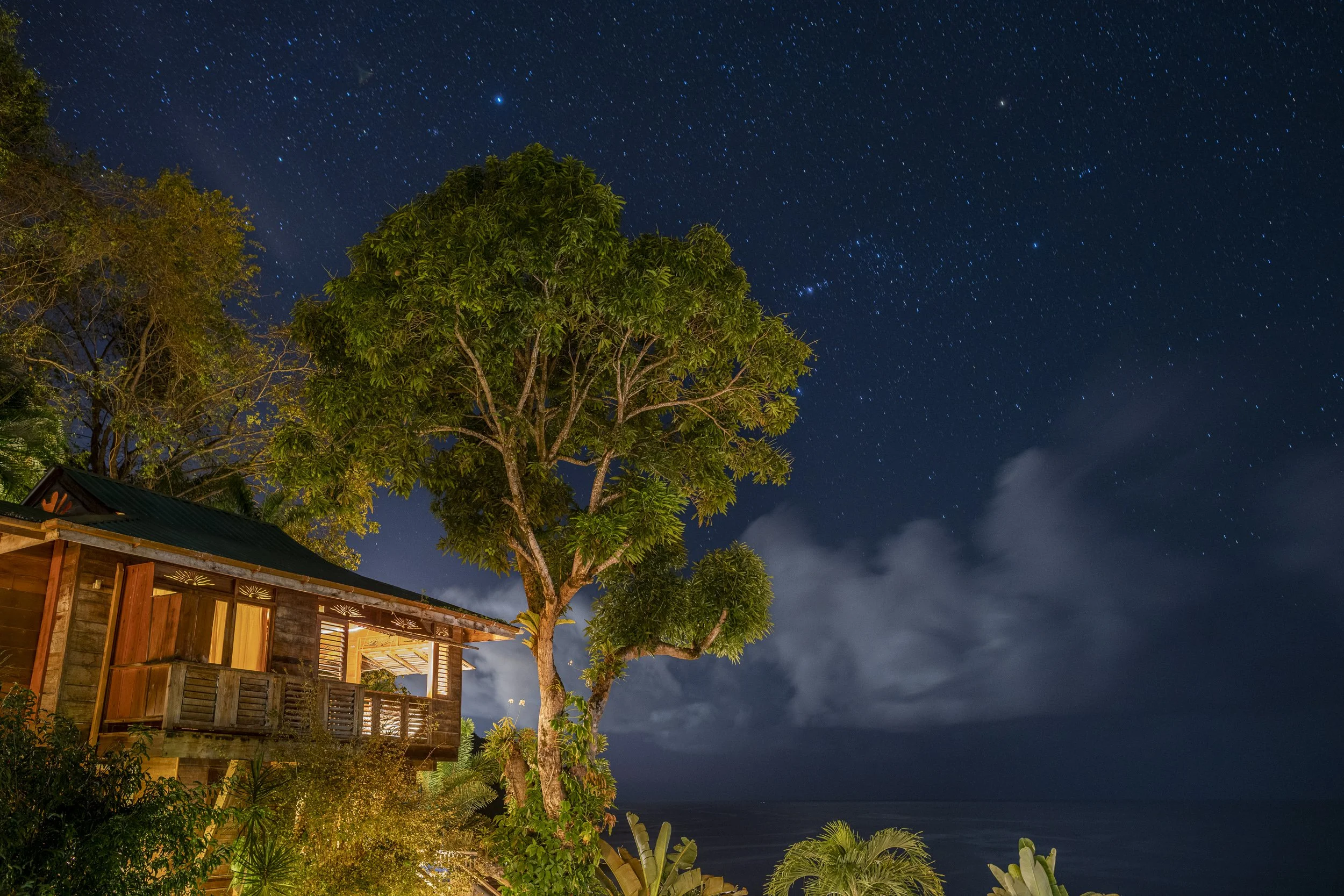 220323_Alex_Treadway_Trinidad and Tobago_DSC6485.jpg