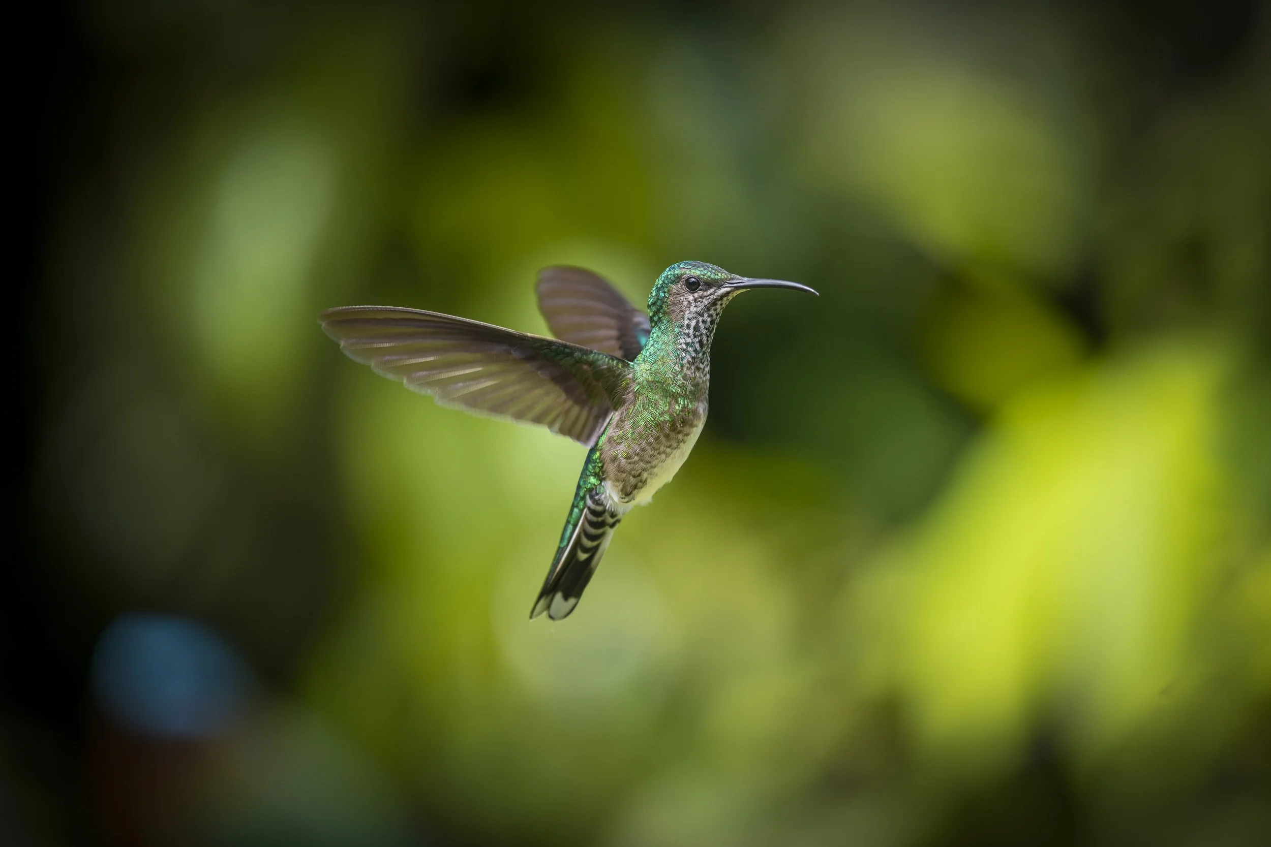 220331_Alex_Treadway_Trinidad and Tobago_DSC8622-Edit.jpg