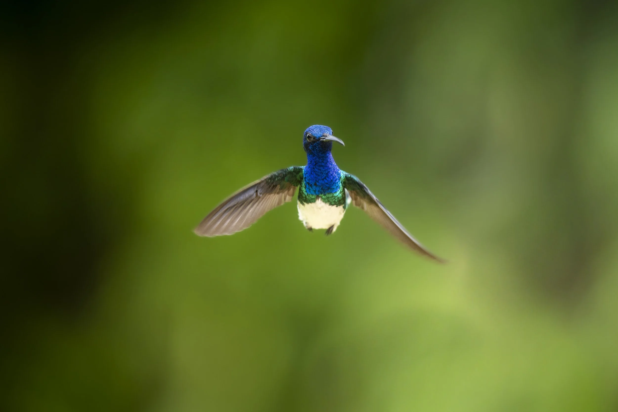 220331_Alex_Treadway_Trinidad and Tobago_DSC8915.jpg