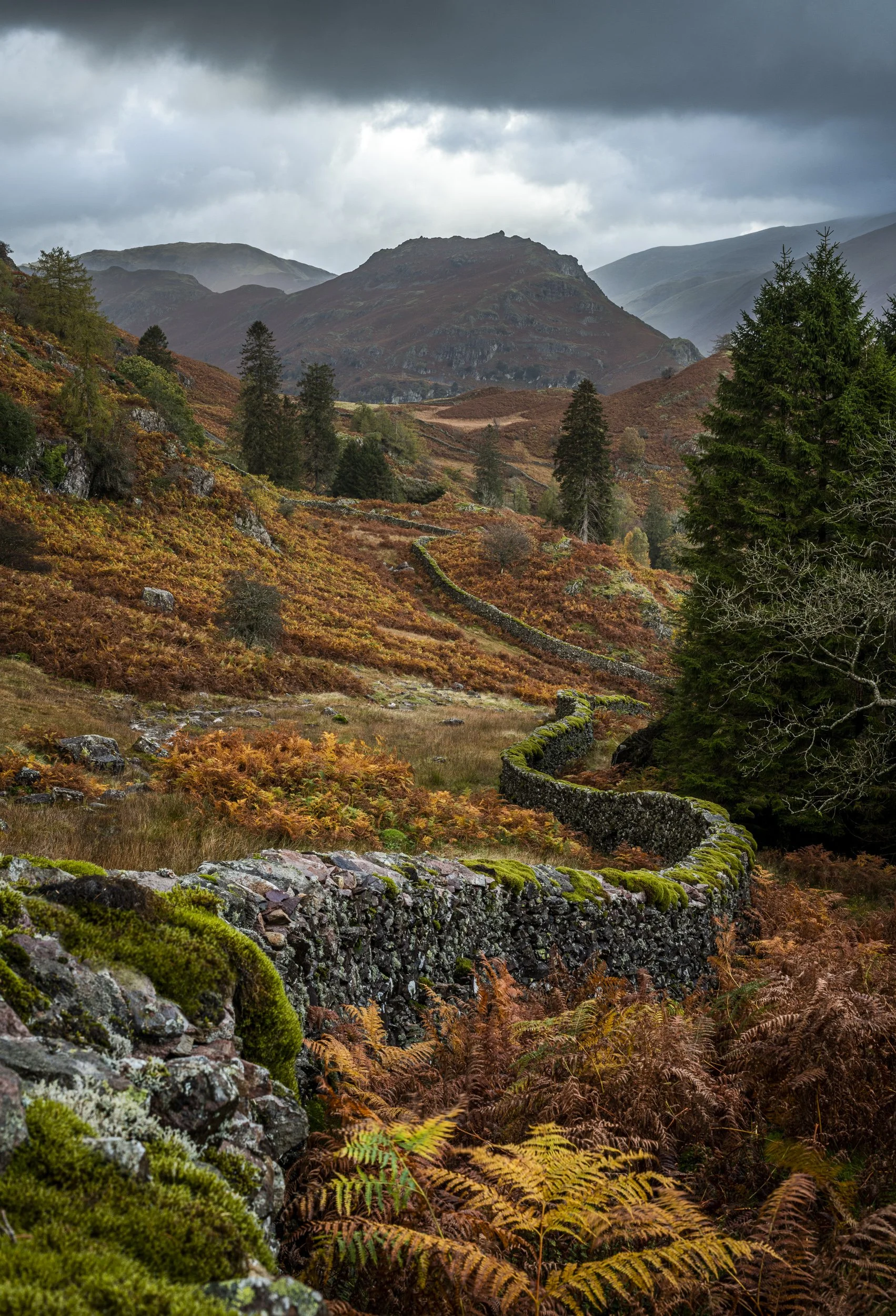 221026_Alex_Treadway_England, United Kingdom_DSC5695-Edit.jpg