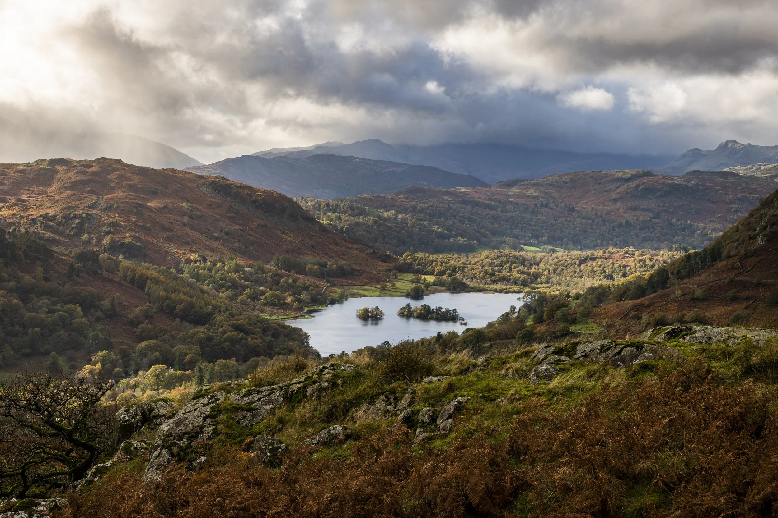 221028_Alex_Treadway_England, United Kingdom_DSC5906.jpg