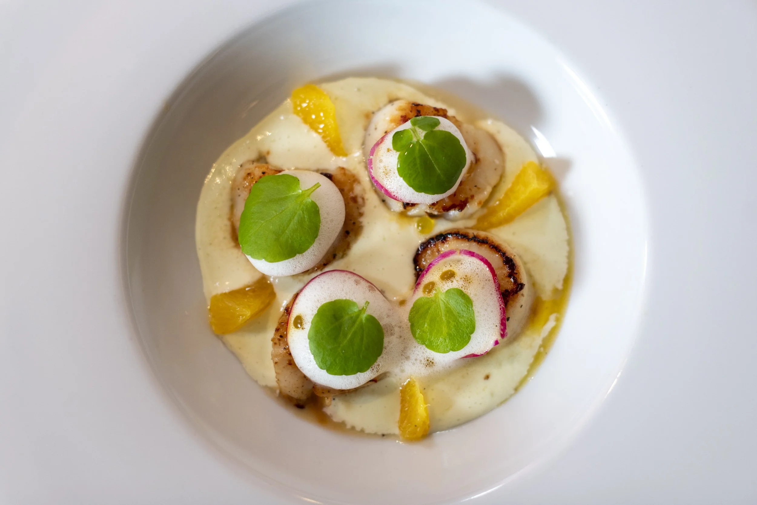 220913_Alex_Treadway_United Kingdom_DSC1628.jpg