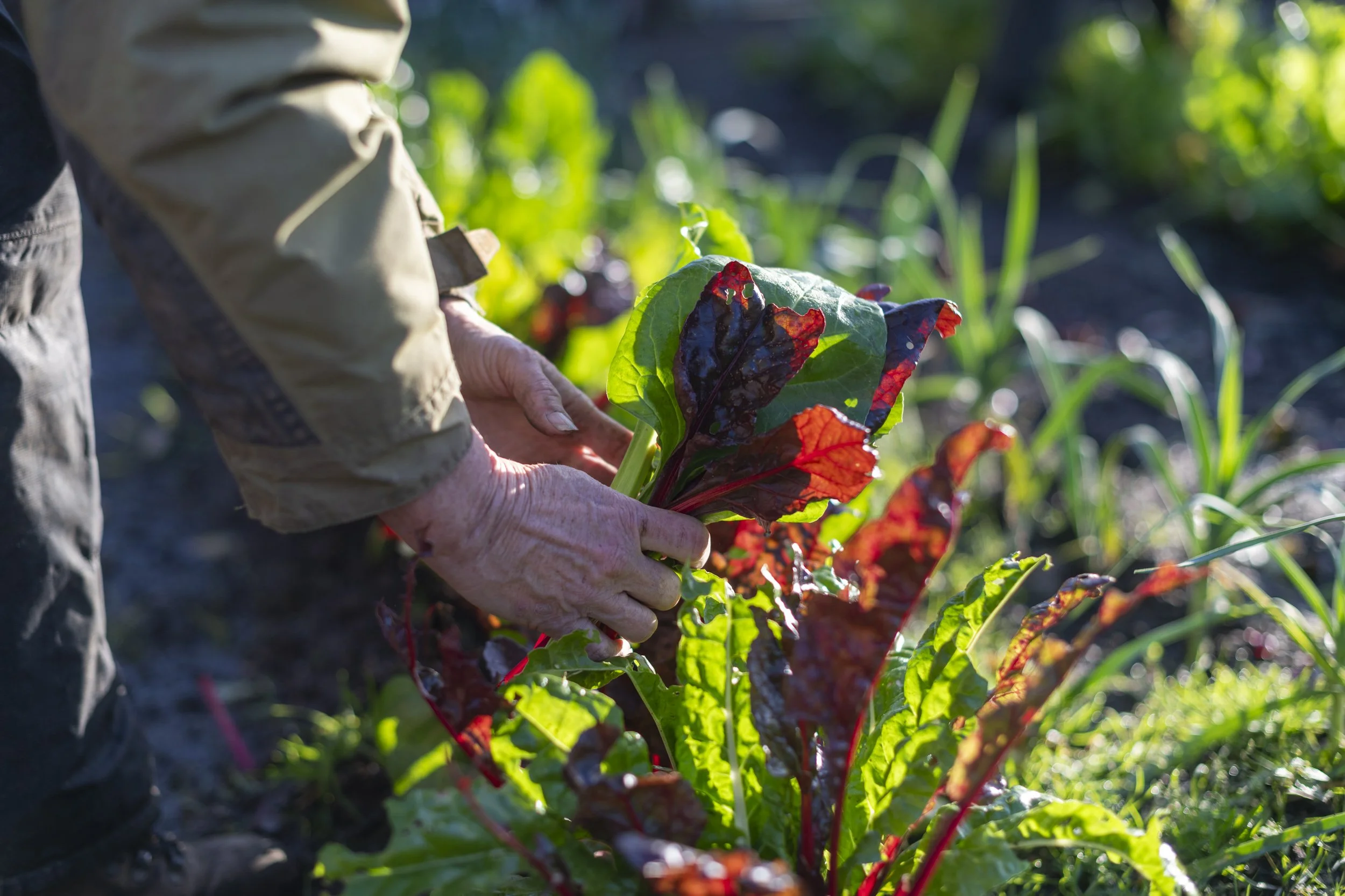 221125_Alex_Treadway_United Kingdom_DSC9279.jpg