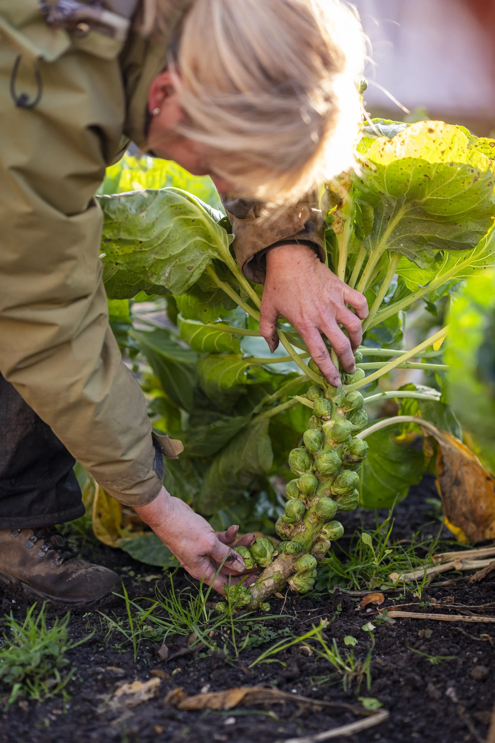 221125_Alex_Treadway_United Kingdom_DSC9245.jpg