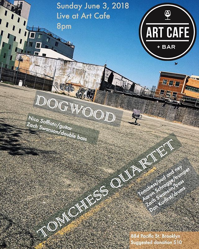 This Sunday! #dogwoodduo #livemusic #brooklyn