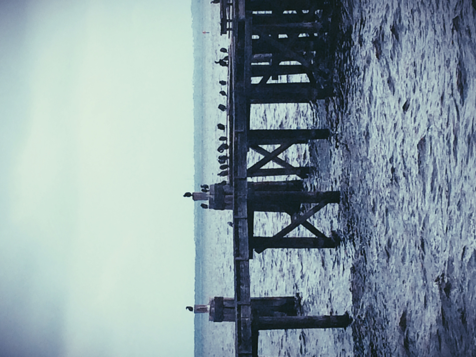 image_10.jpeg