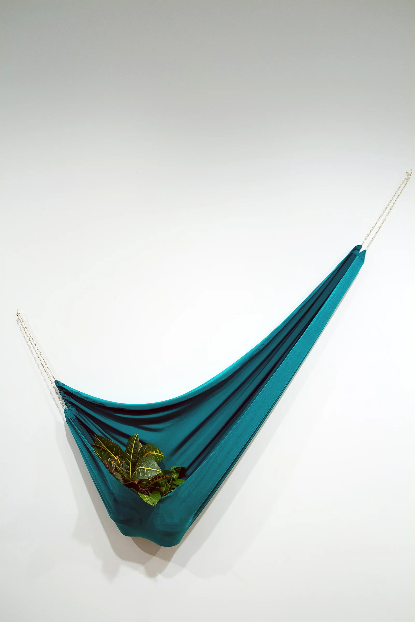green_6.jpg