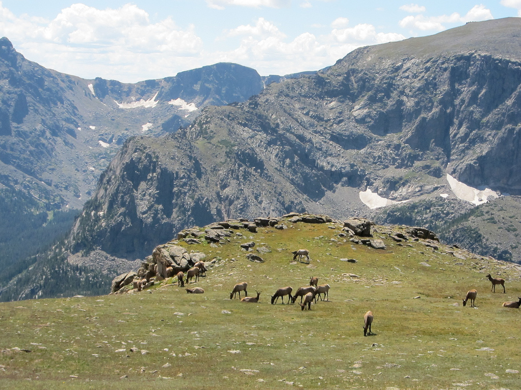 Rocky Mountain National Forest, Colorado
