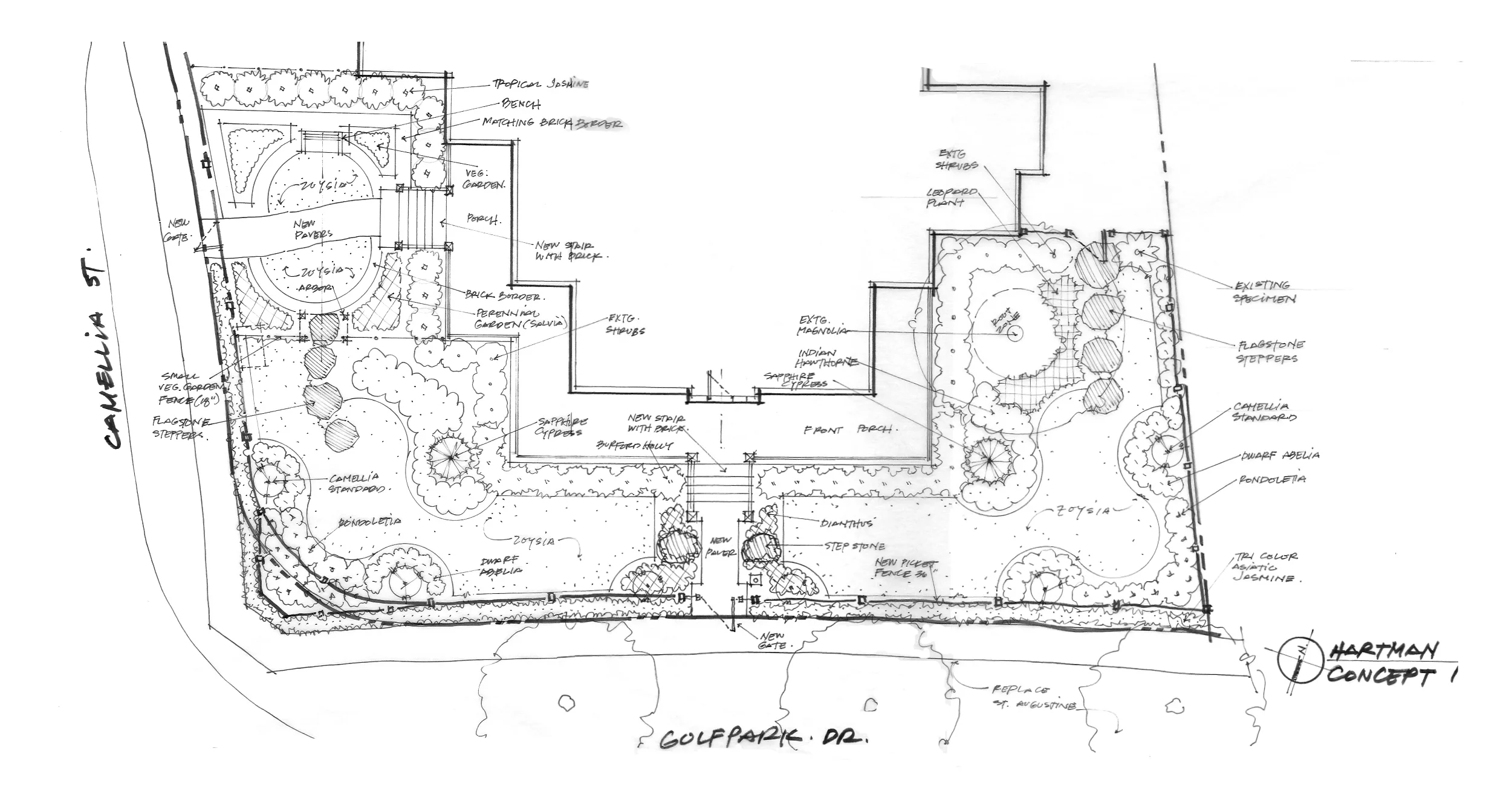 Hartman-FrontConcept.jpg