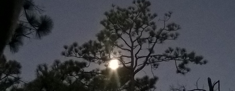 FullMoonFloridaCrop FB.jpeg