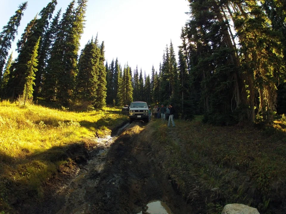 Whipsaw Trail