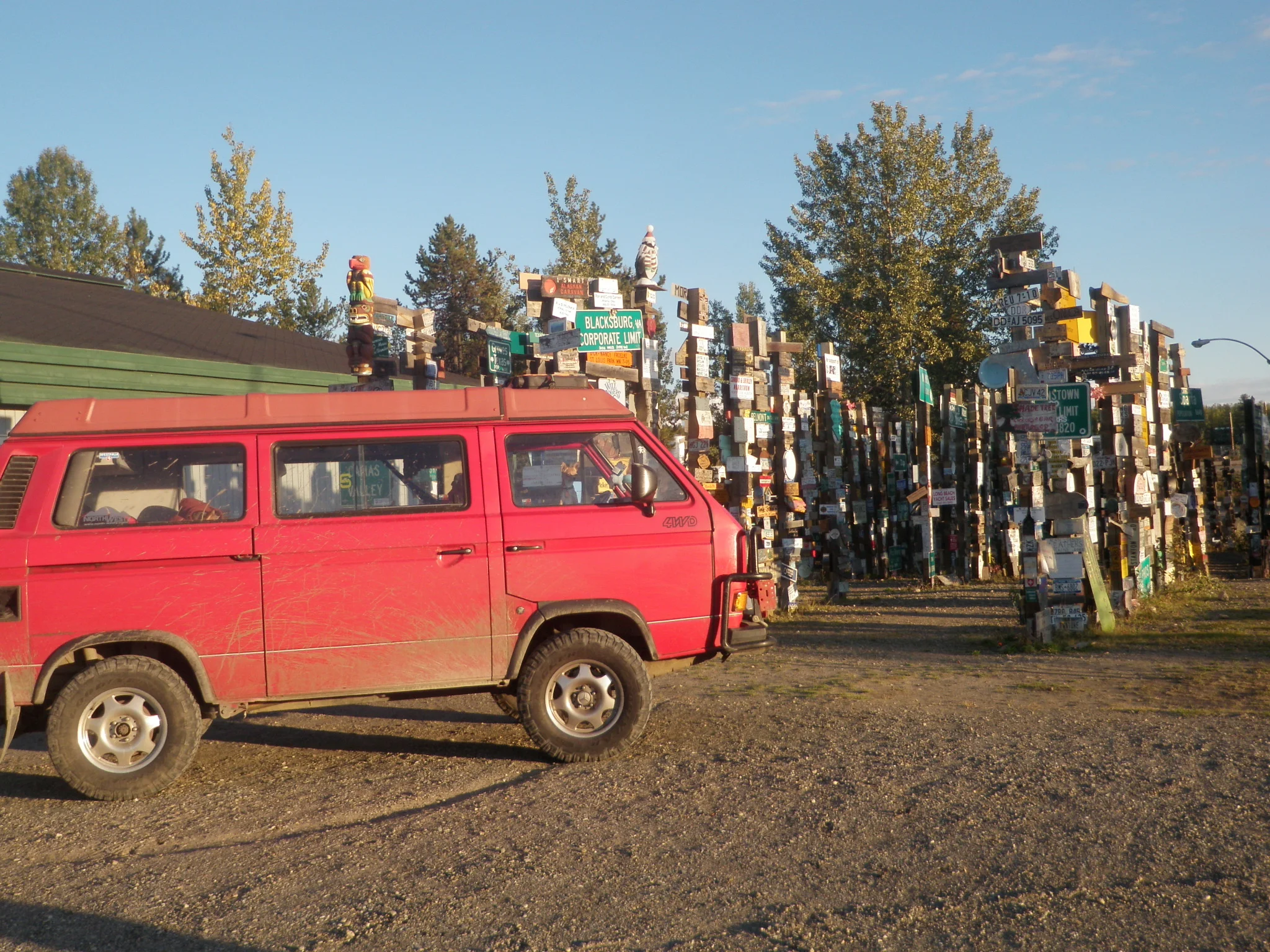 the Sign Forest