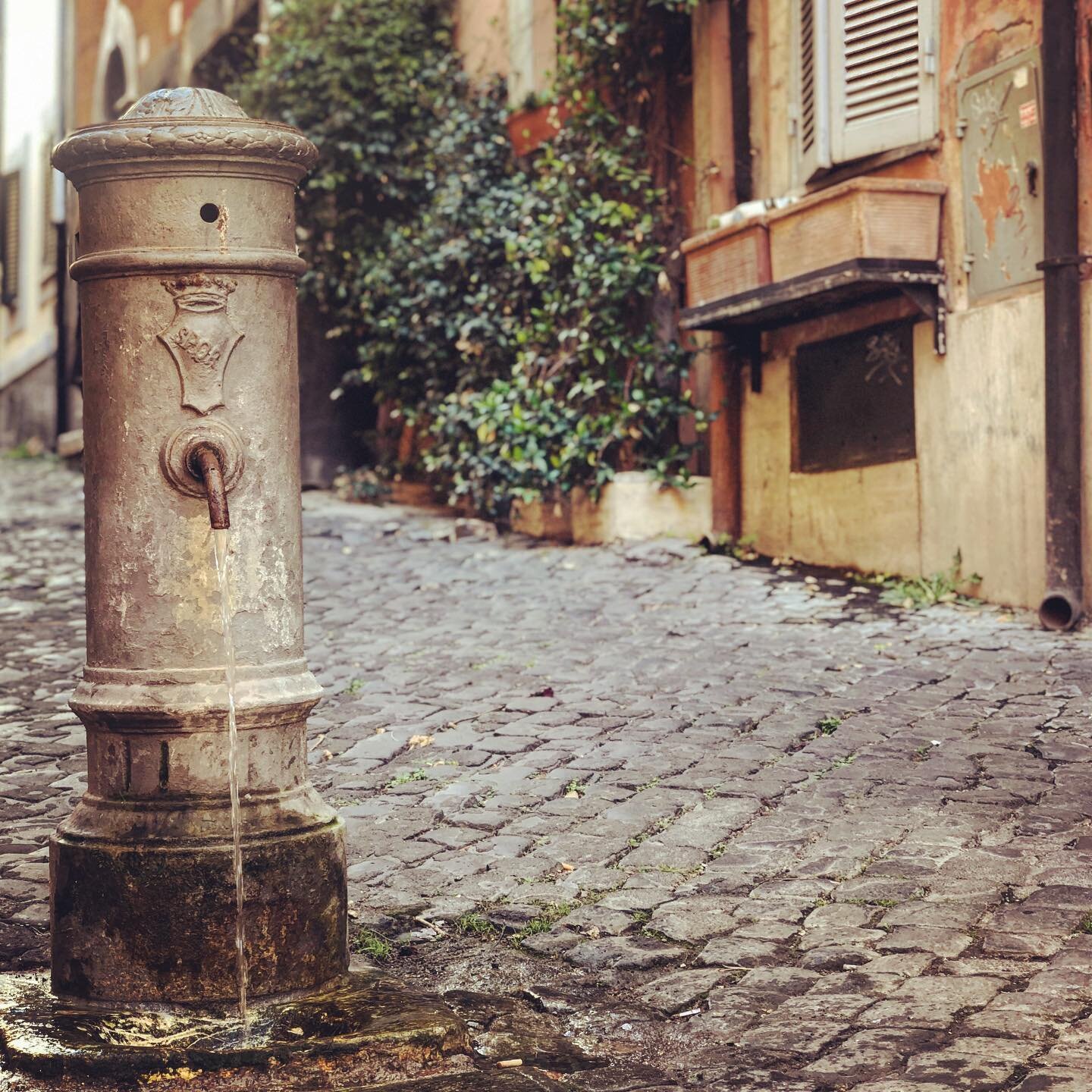 One of the many fountains of #roma