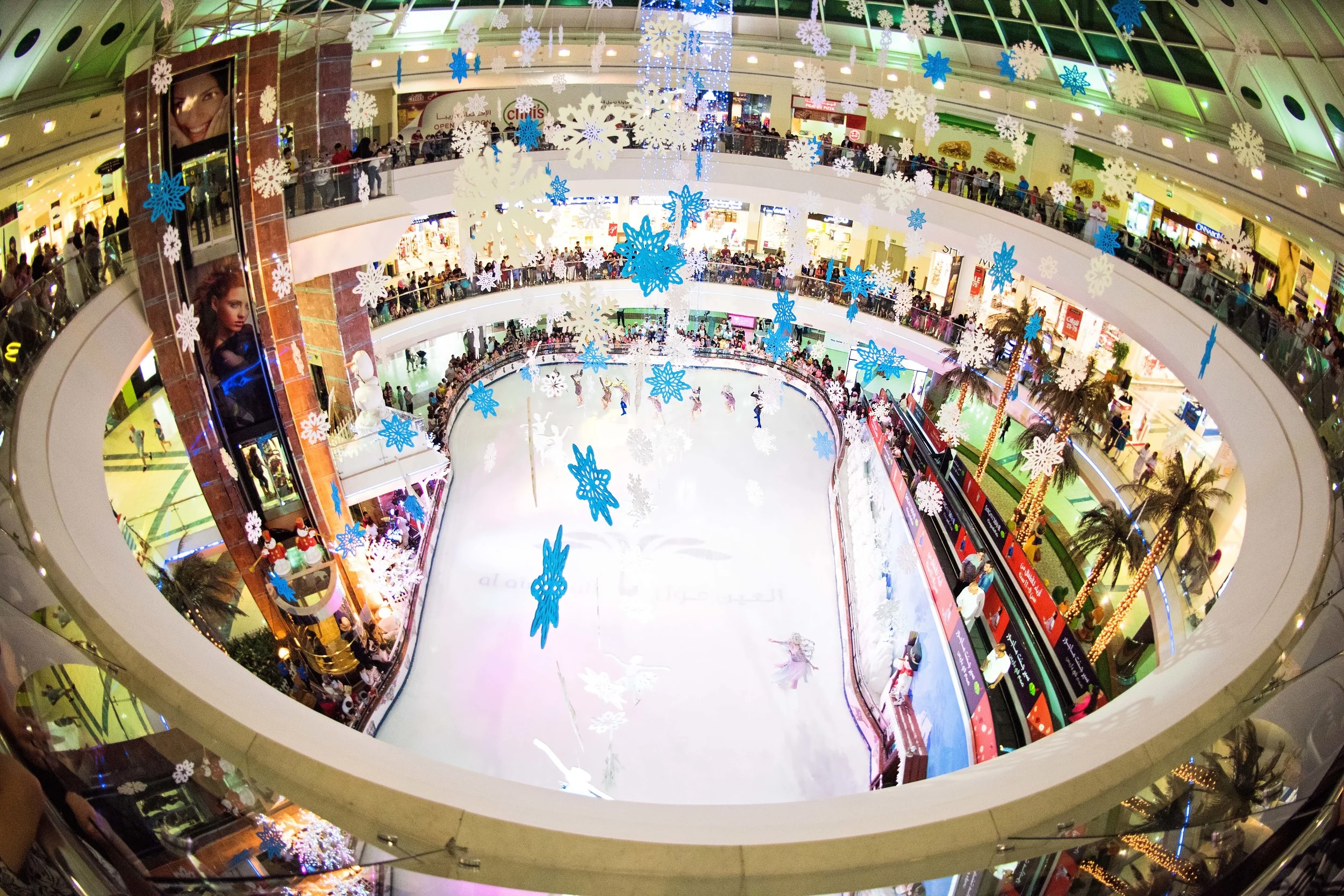 Cinderella_AAM_20160512_0262 copy.jpg