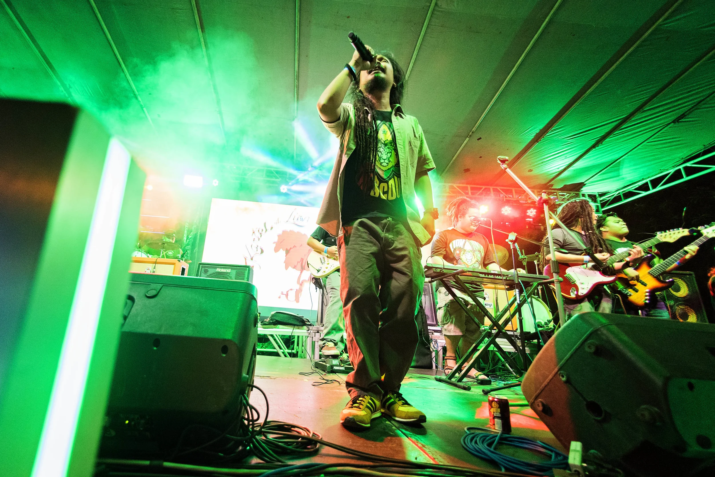 Kartel and Lion and the Scouts