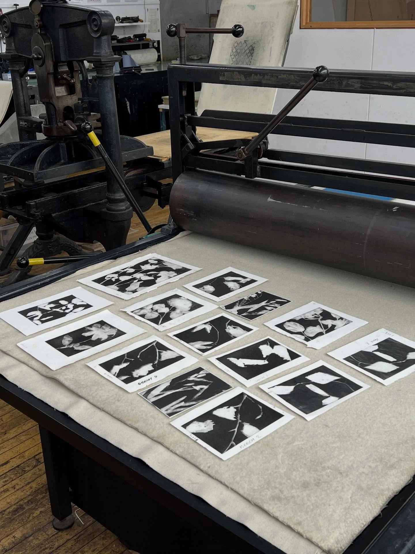 Every Tuesday and Wednesday, you’ll find me in the @spikeprintstudio , completing my ongoing series of limited edition etchings.
Etching has a long and fascinating history — artists such as Rembrandt, Goya, Picasso, and Lucian Freud all