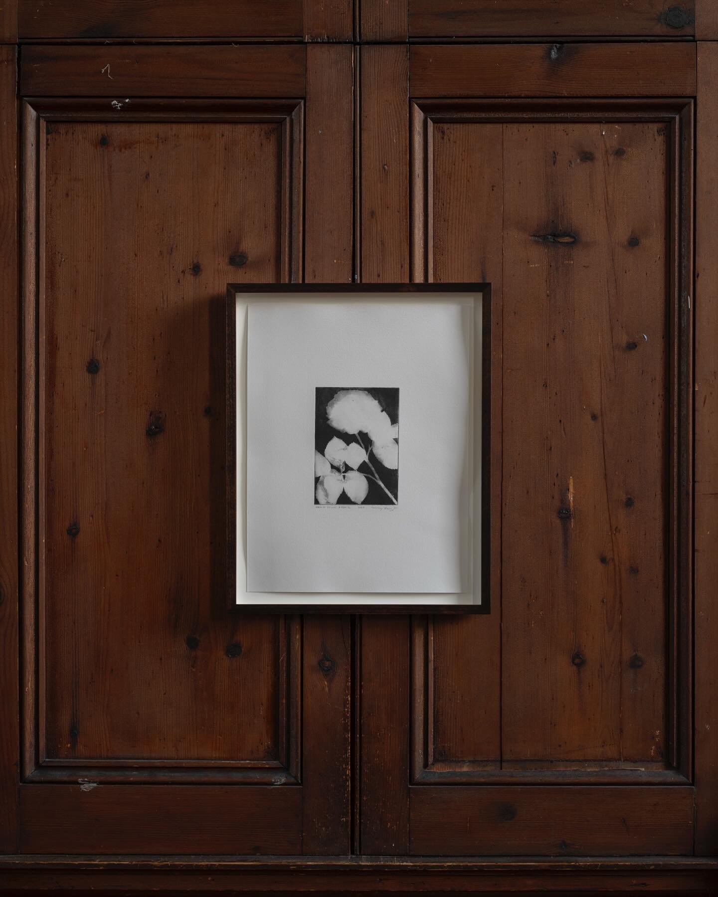 Taking you through just a few steps of how one of my etchings is printed&mdash;this doesn&rsquo;t even cover the making of the plate itself. Every part of the process is done by hand, showing the care, skill, and craft that make each etching a work o