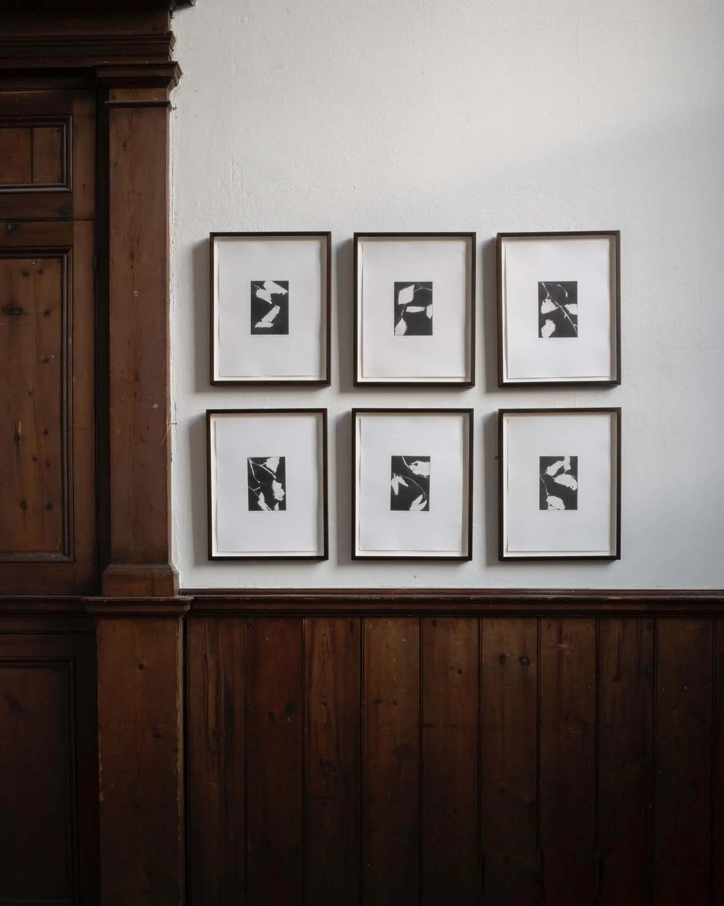 The Winter Beech etchings were born from my desire to explore sunlight&mdash;my work had been mostly shadow-based, and these etchings captured the light of sun when it was exposed. 🌿

Using one of the oldest and most revered printmaking techniques, 