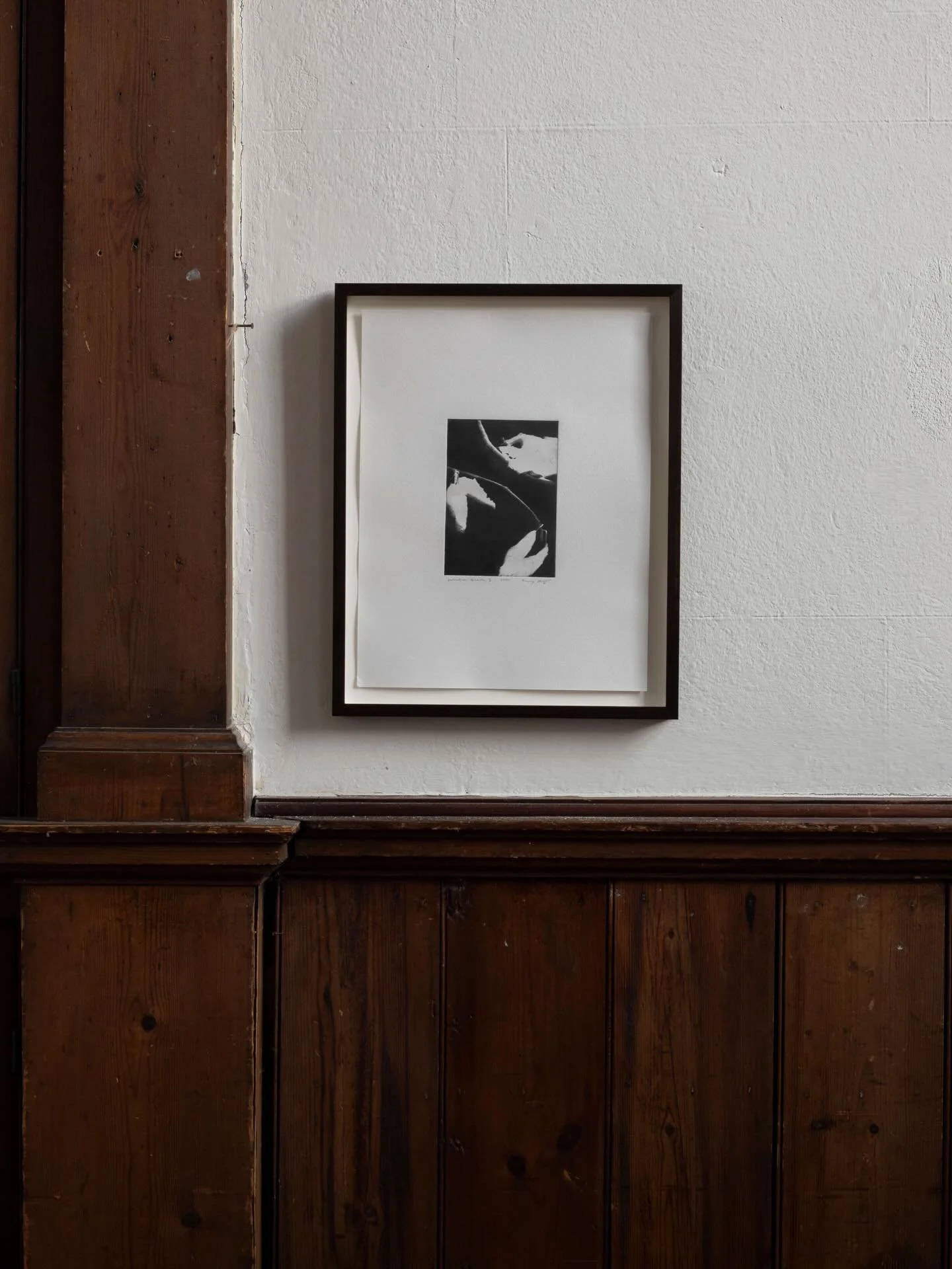 Which frame do you feel best brings the work to life? Cast your vote in the poll. 🗳️

I&rsquo;ve recently begun introducing an oak-stained frame alongside my usual natural, untreated tulip wood. I&rsquo;ve selected these two options to complement th