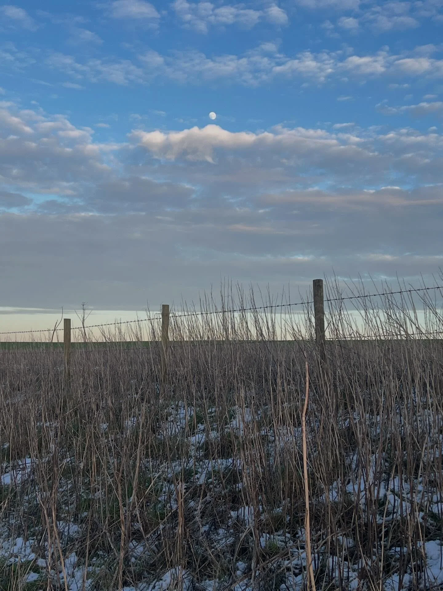✨ Winter Solstice ✨

The Winter Solstice marks the shortest day and longest night of the year. In England, the Winter Solstice has long been a time steeped in ritual and folklore. People would light candles or fires to welcome the returning sun, beli