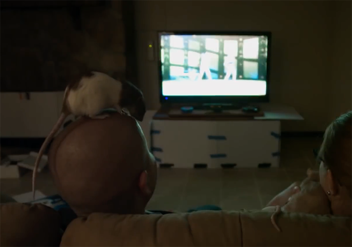 Rat Film.png