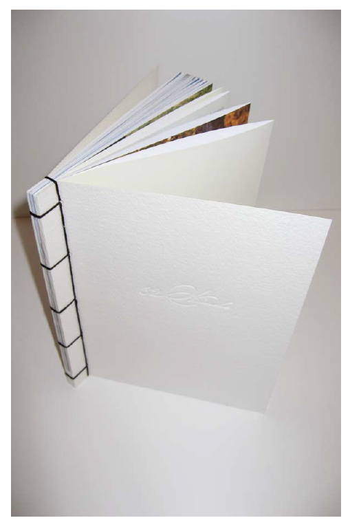 front cover.png