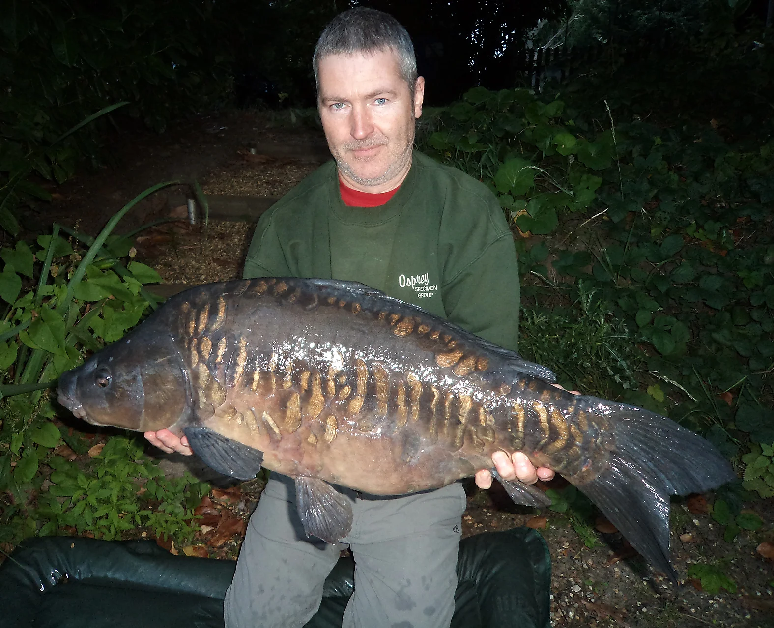 Ain't that a pretty one? Must be the best looking carp I've caught... so far! 24lb