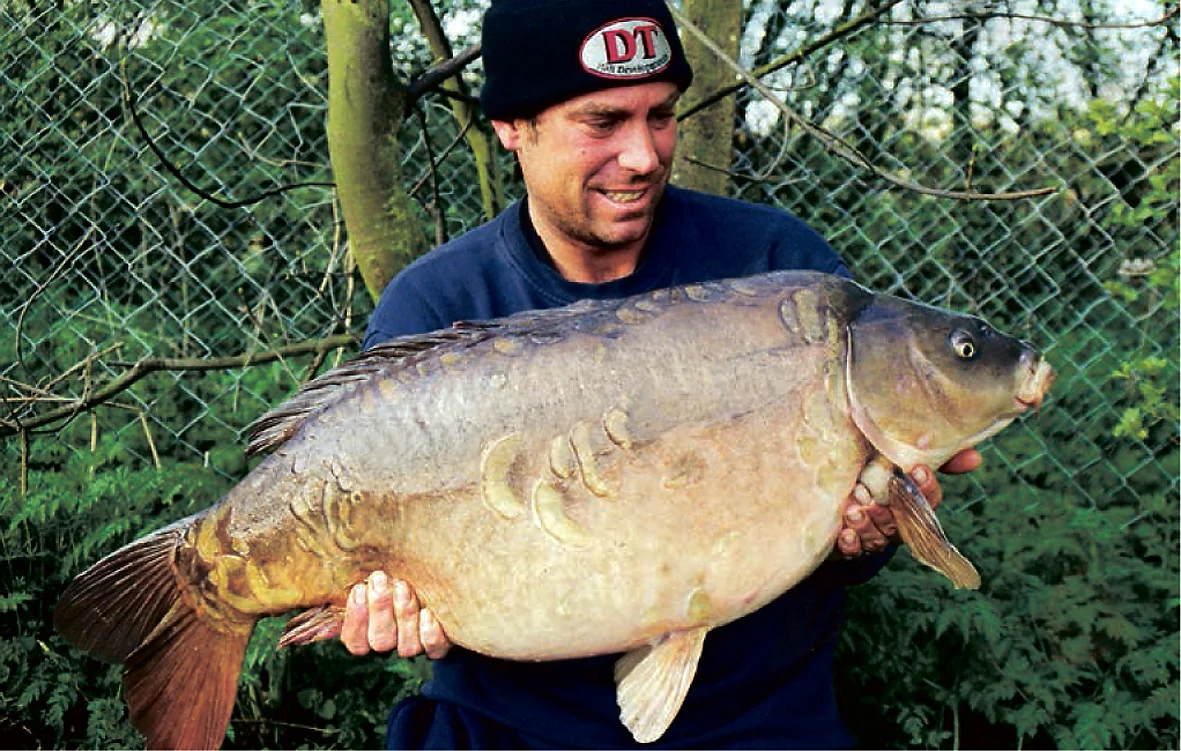 Second time round, the recapture of Sutton's Cluster
