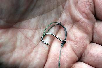 11) now pull the loop end over the point of the hook, pull down gently creating the “D” effect for the popup to run along, you can have this as small or large as you require.