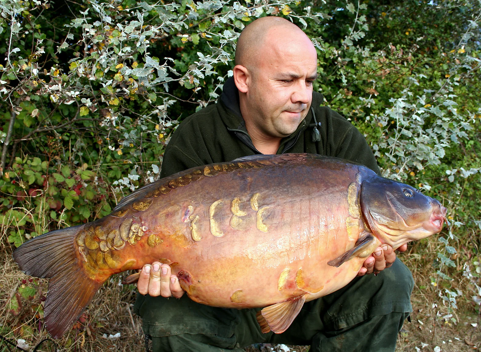 And here is the proof in the pudding, a nice early spring mirror caught using the rig described.