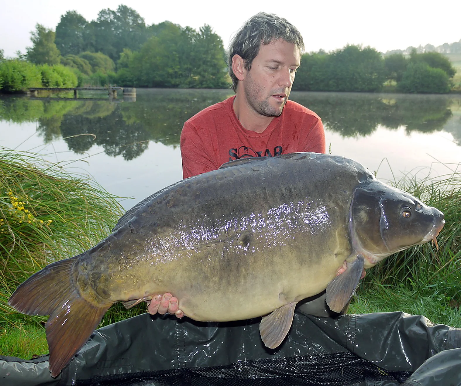 ...not a bad collection here Tom, all belting fish...