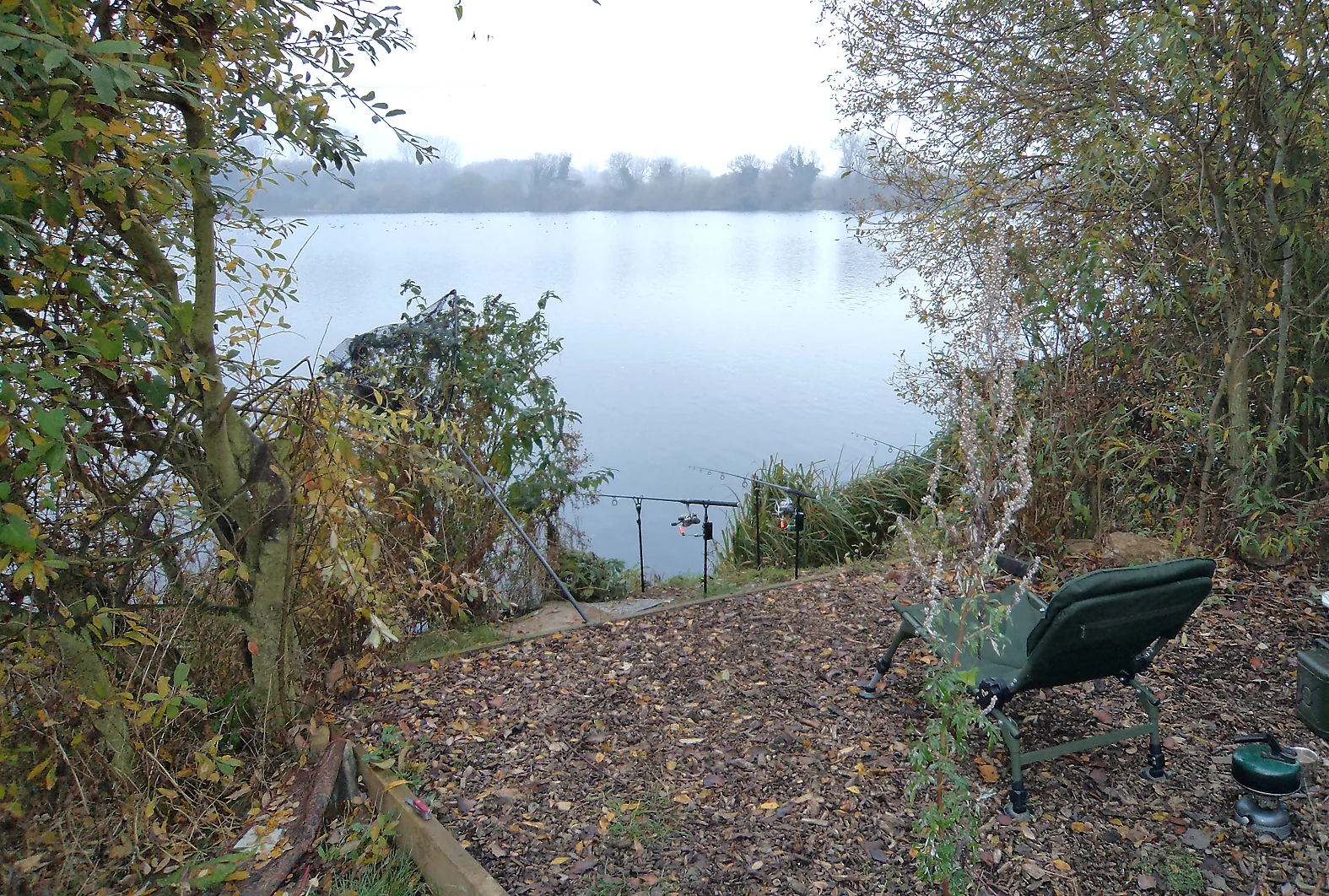 Plenty of water here, a view from the swim