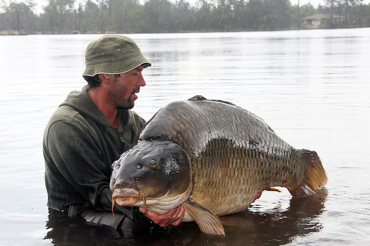 You really get an idea of how big this fish is in this shot