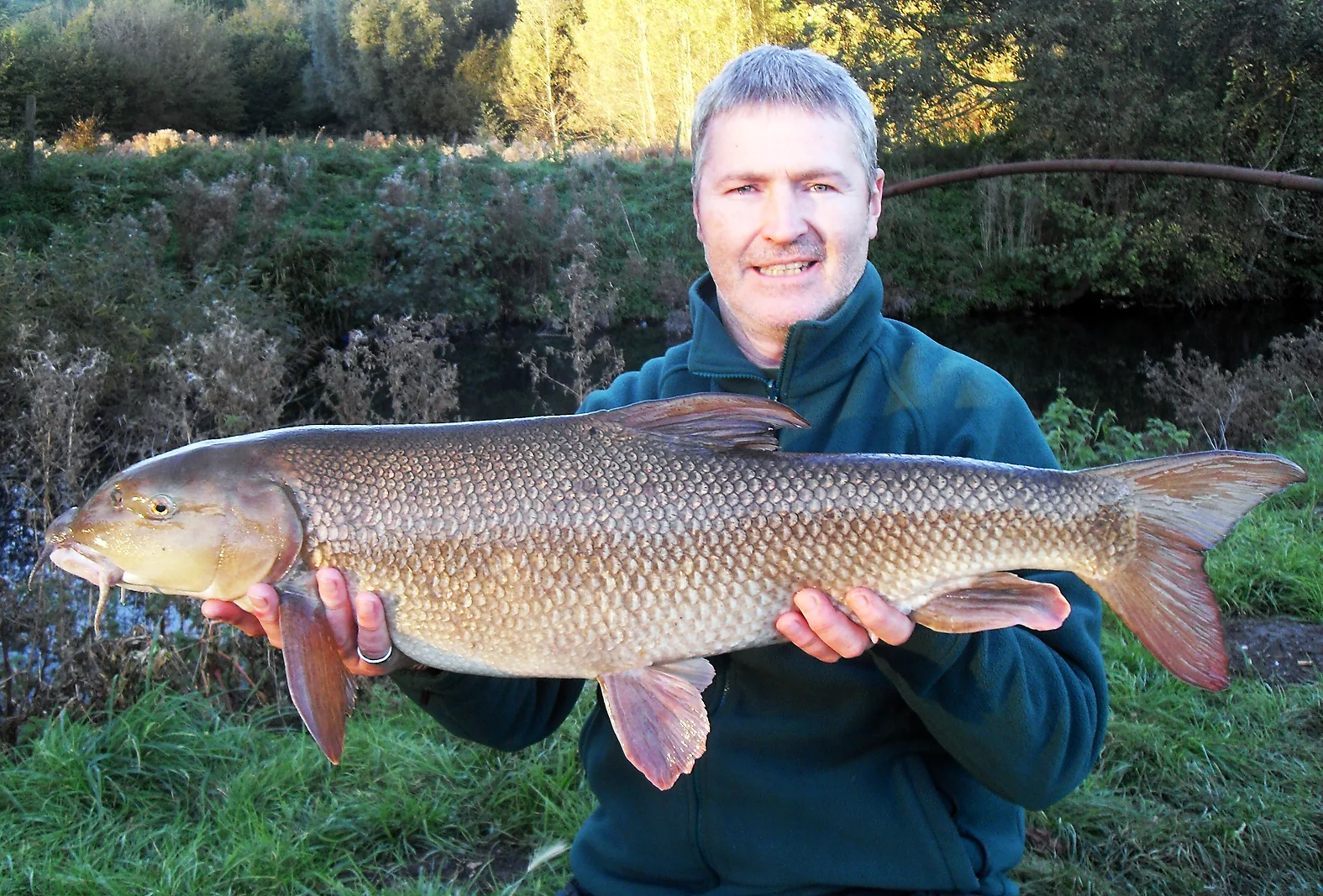 This 14lb+ Lea Barbel took a 17mm halibut pellet late in the afternoon