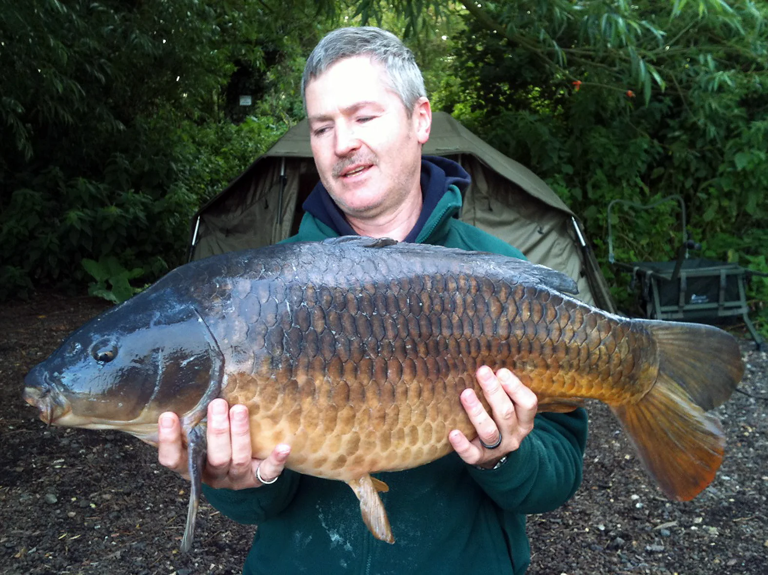 A big brute of a common, that puts up a good fight