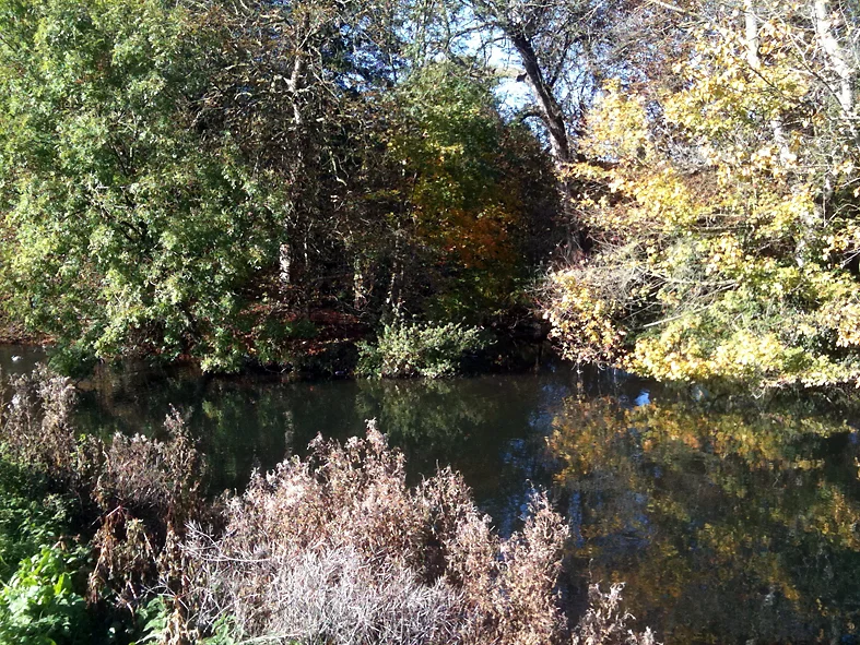 All the colours of Autumn, let's hope the fish are here?