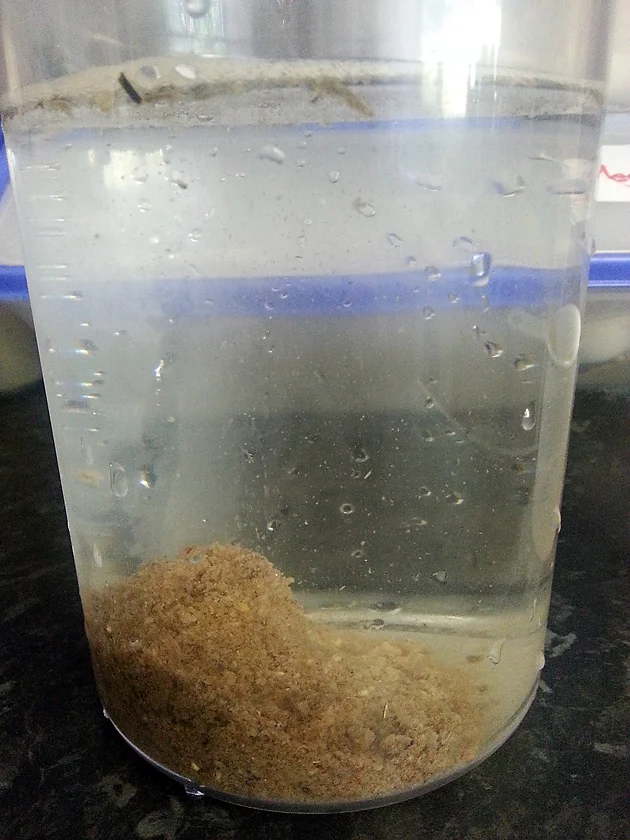 The groundbait at work, slowly releasing particles up into the water column