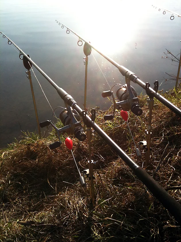 Baits out, and alarms set