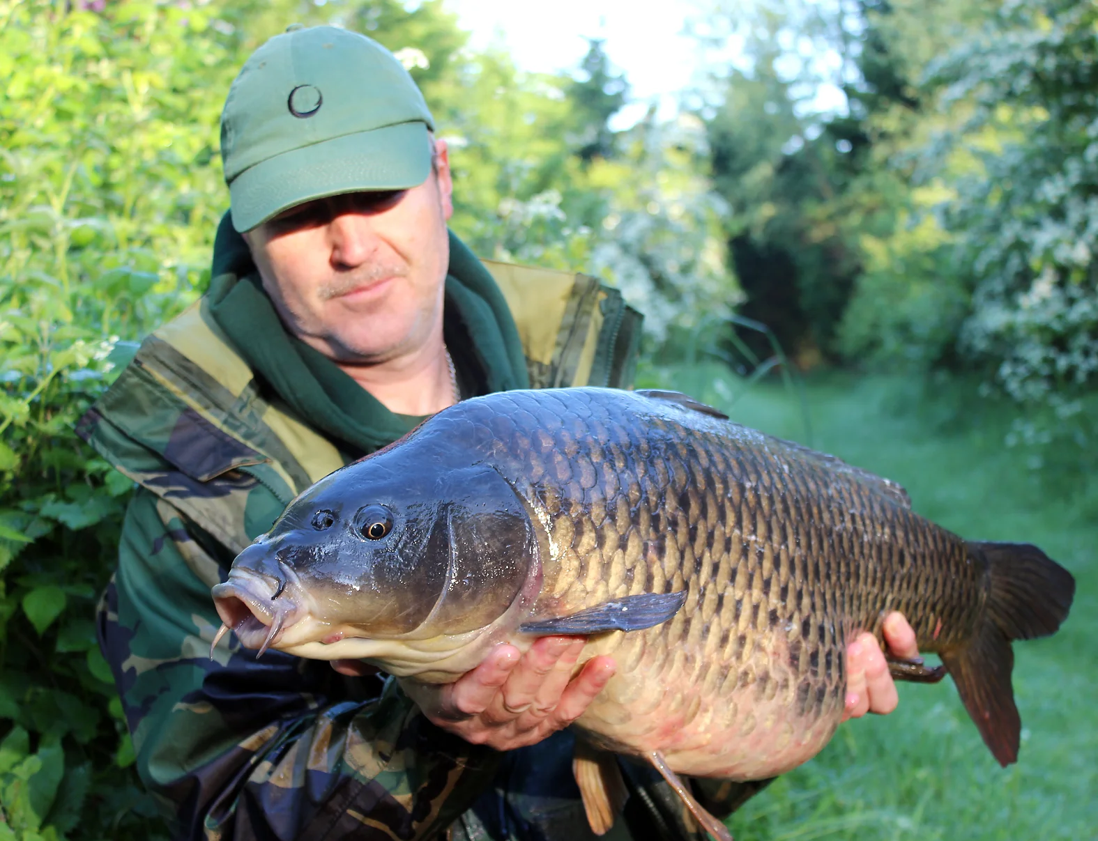 This 21lb+ common turned up at 5.30am, caught from under overhanging branches in the margin