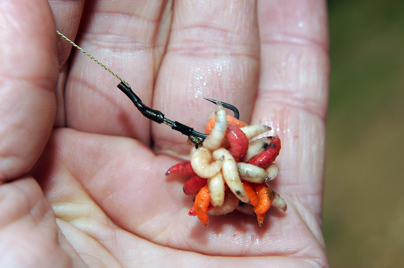Little tricks with particles may help you tempt more carp to the bank