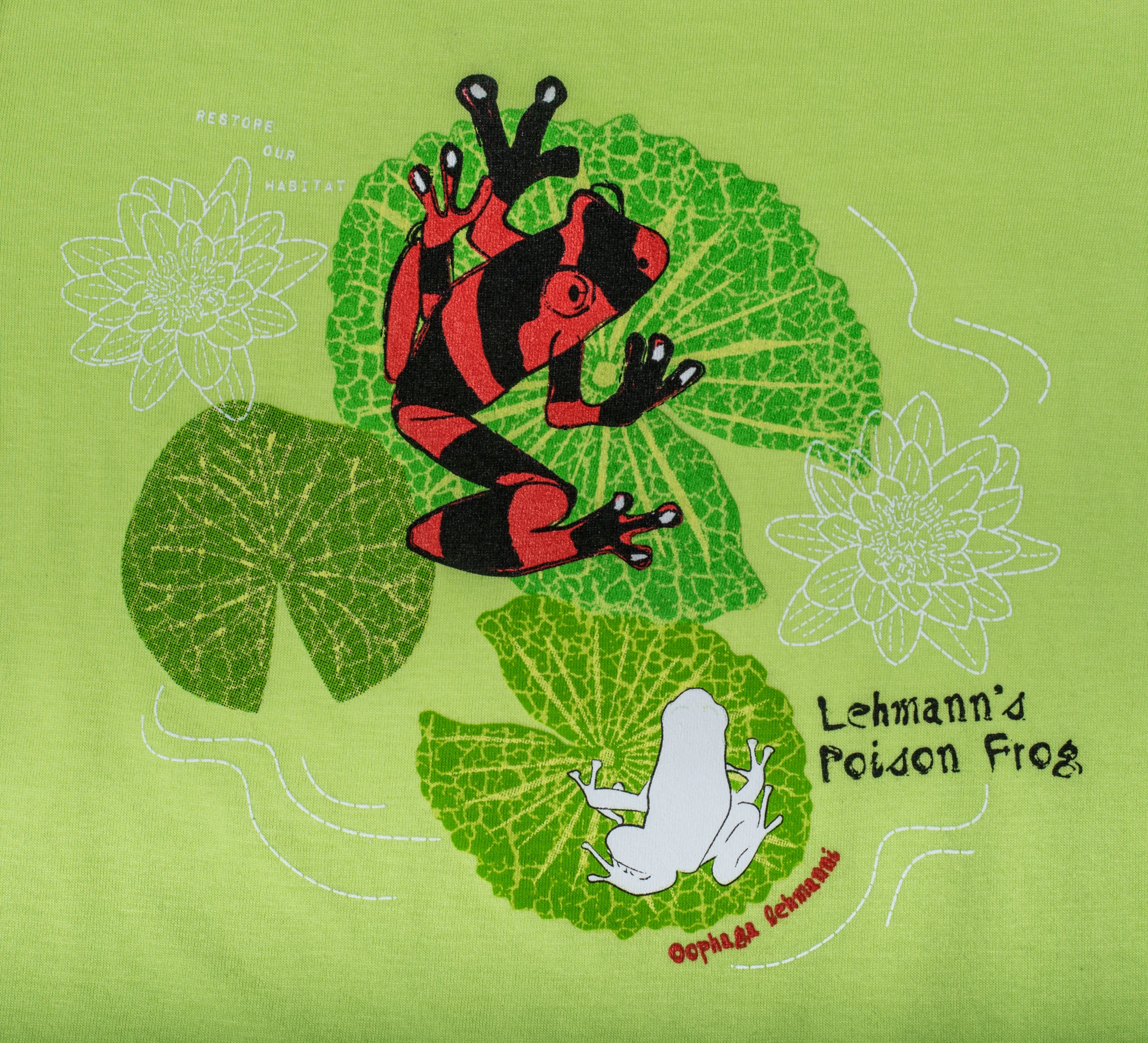 SpeeZees Lehmann's Poison Frog - Green Apple - detail.jpg