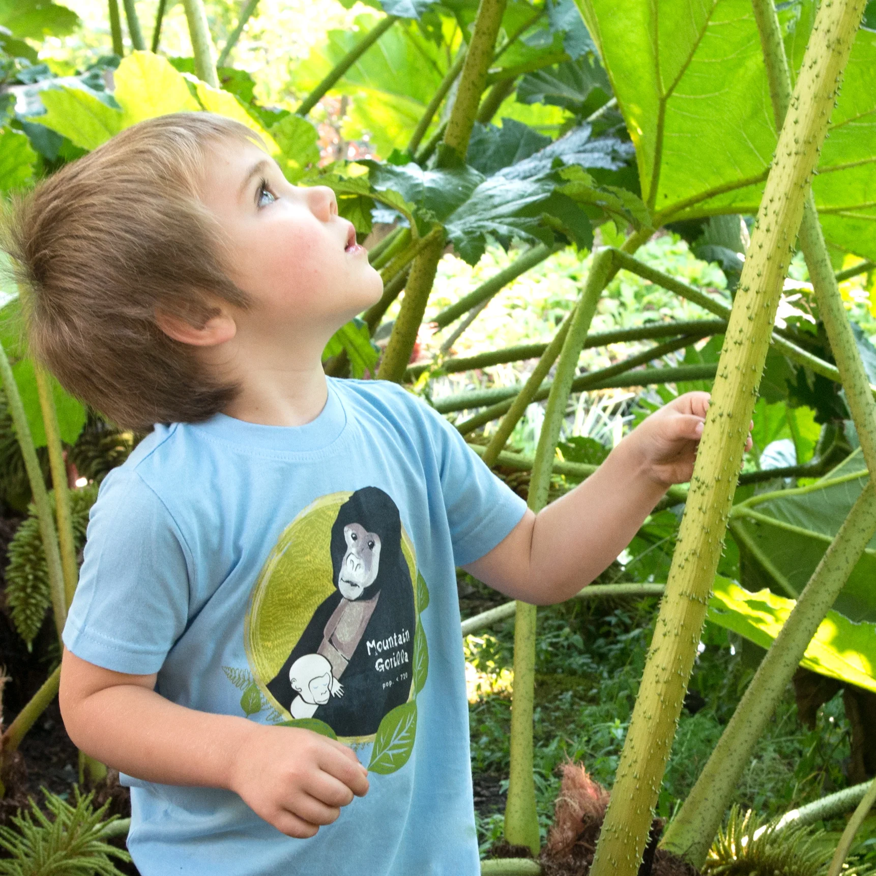 SpeeZees Mountain Gorilla in Baby Blue.jpg