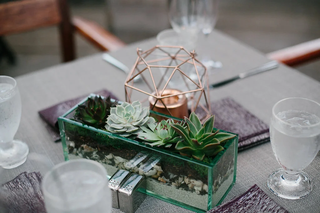 Boxer-Wedding-269 - Copy - Copy.jpg