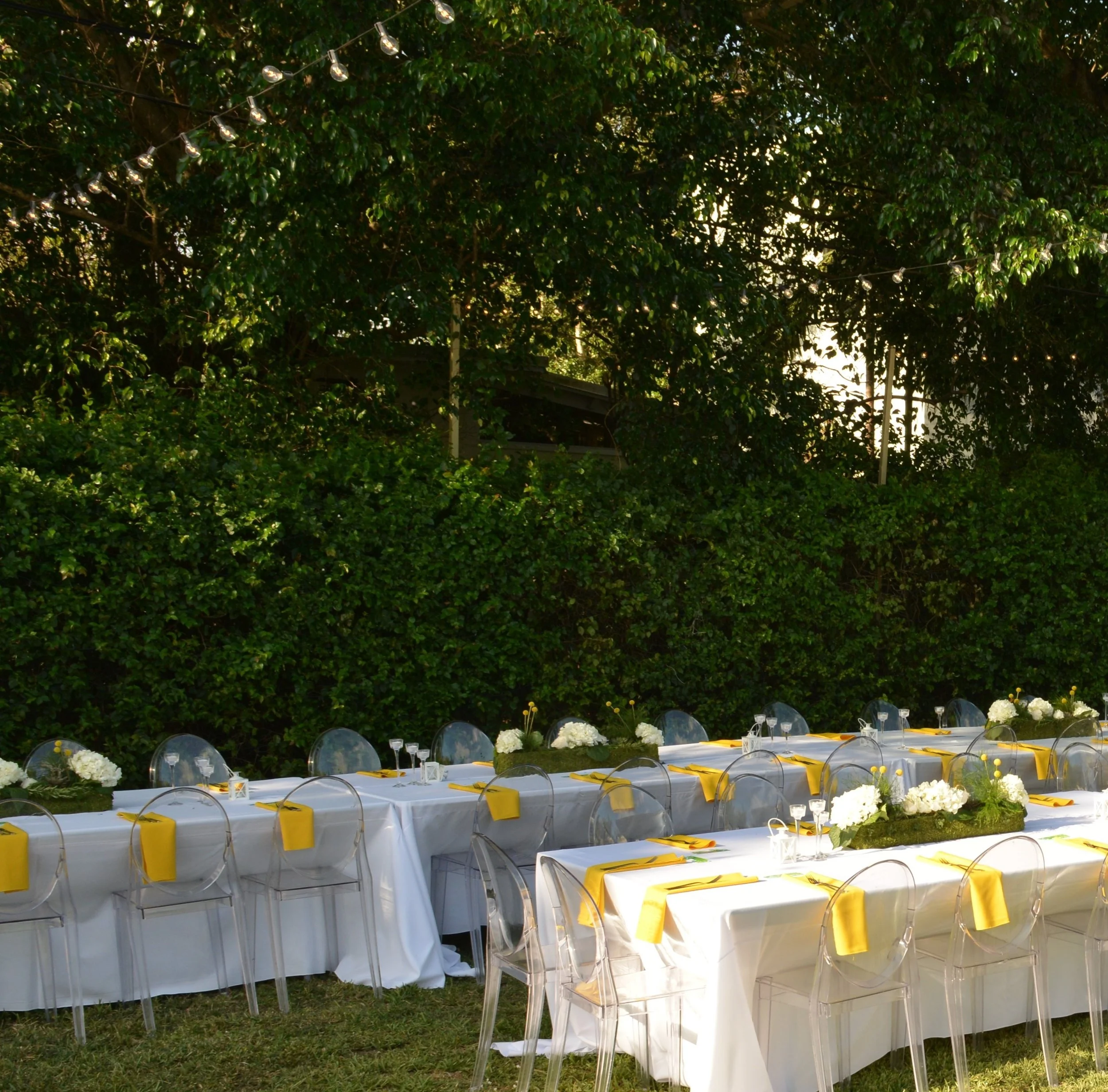 Reception 1 zoomed.jpg