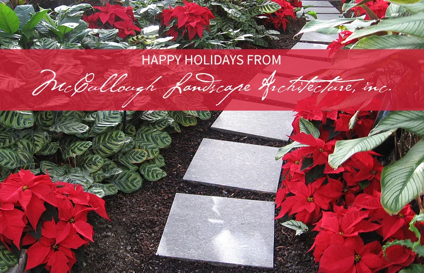03-Pointsettia-TextOver.jpg