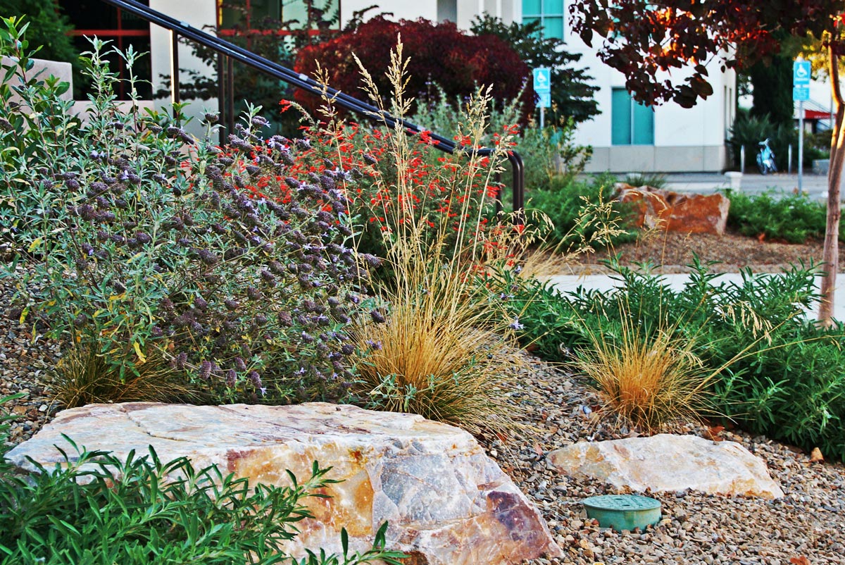 SDSU-Alumni-aaDSC00528-opt.jpg
