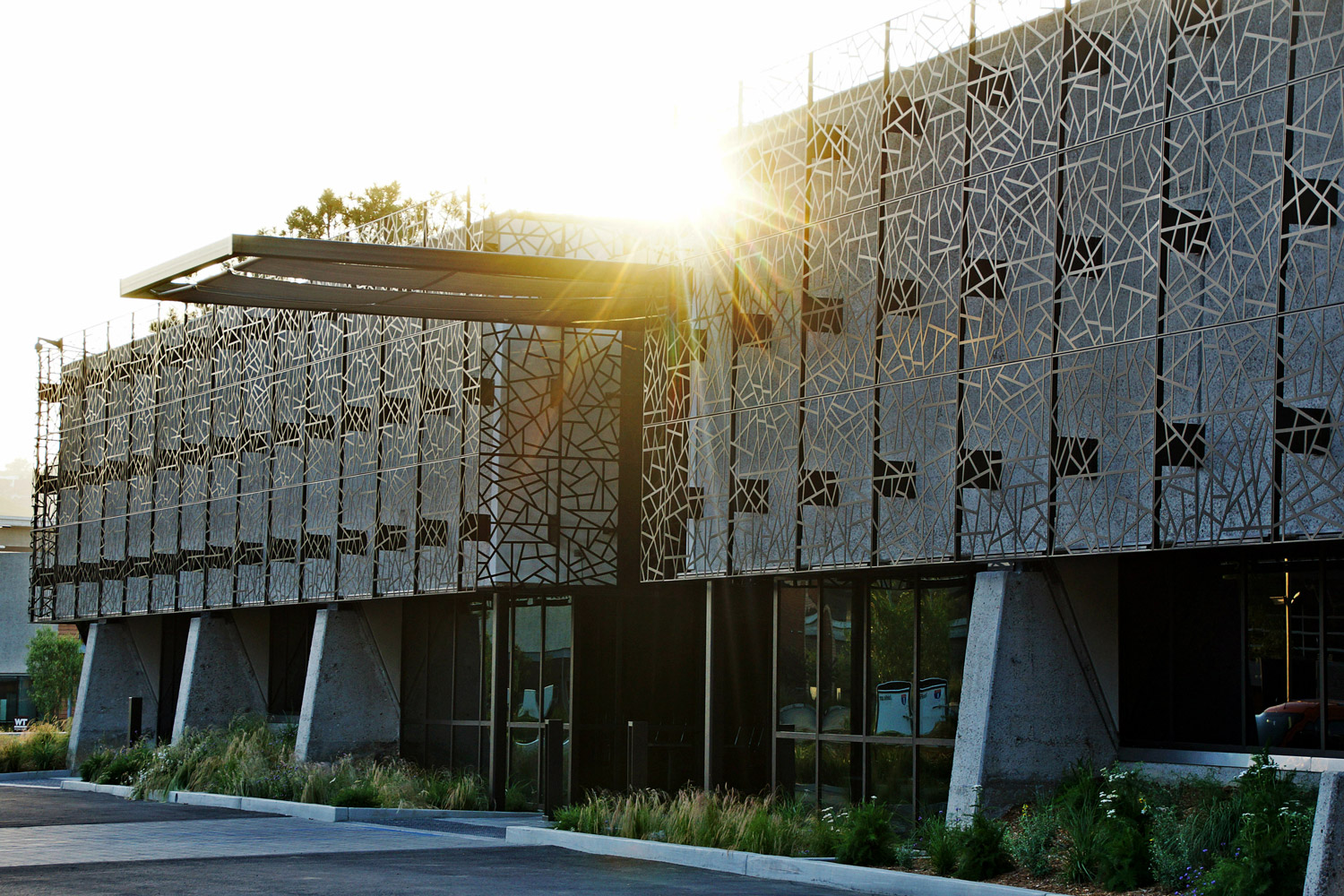 aaDSC04555-opt.jpg
