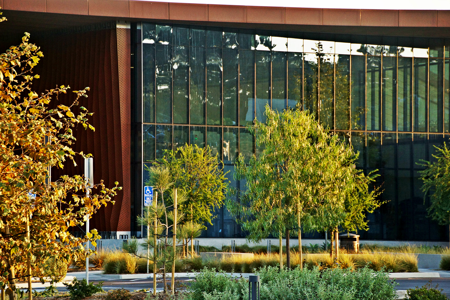 aaDSC05029-opt.jpg