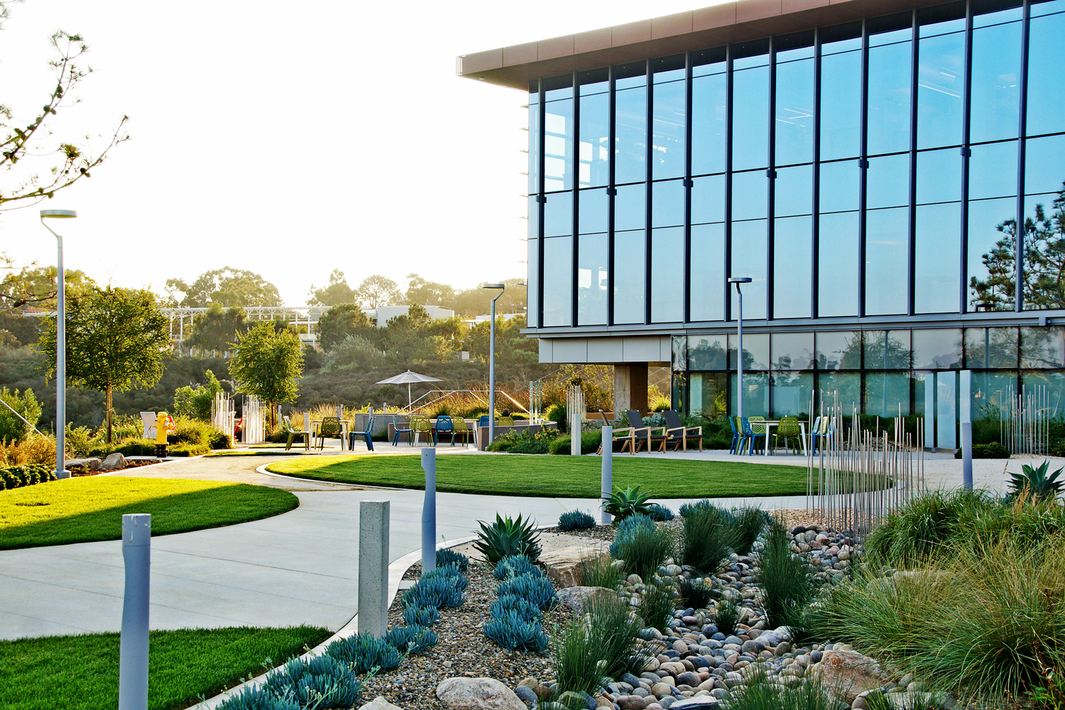 aaDSC04998-opt.jpg