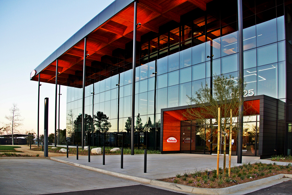 aaDSC05347-cc-opt.jpg